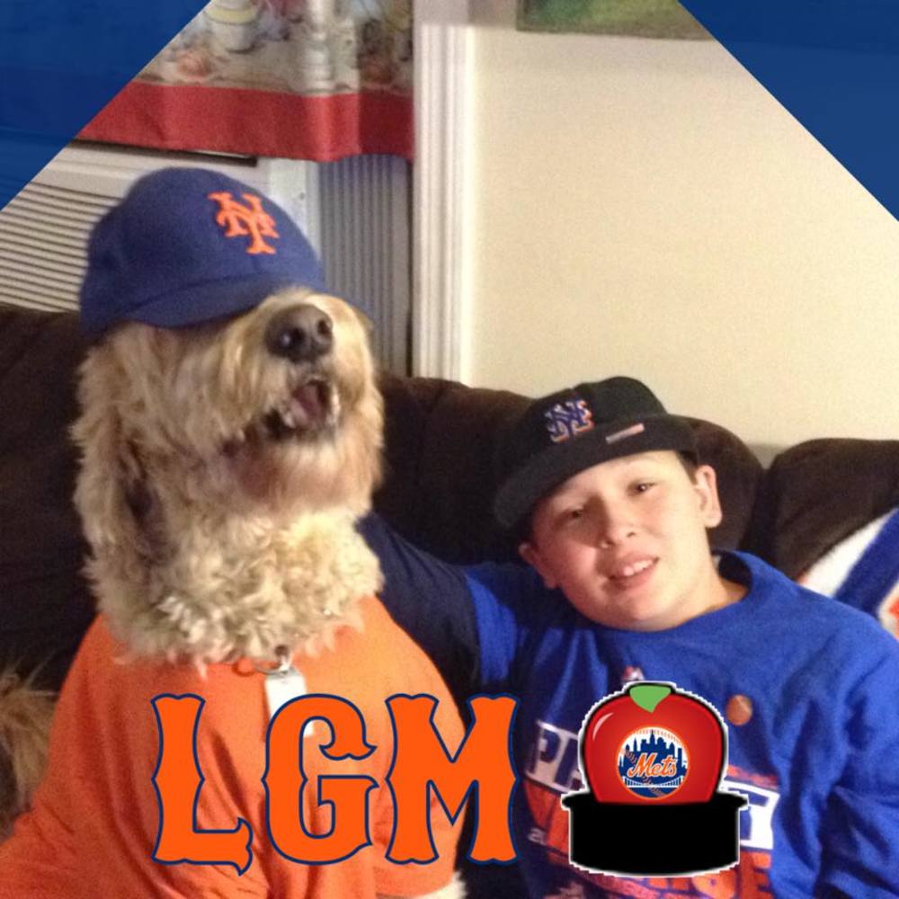 Meet your Posher, Stephanie david